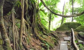 腾冲樱花谷温泉 腾冲樱花谷温泉
