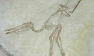 一开始就是个错 一开始就是个错