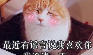 100种聊天幽默开场白 100种聊天幽默开场白