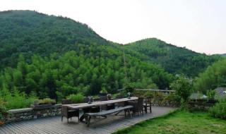 浙江莫干山 浙江莫干山