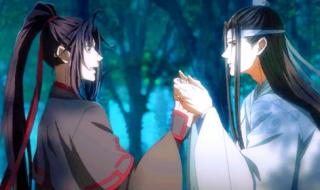 蚊子居然还有头发